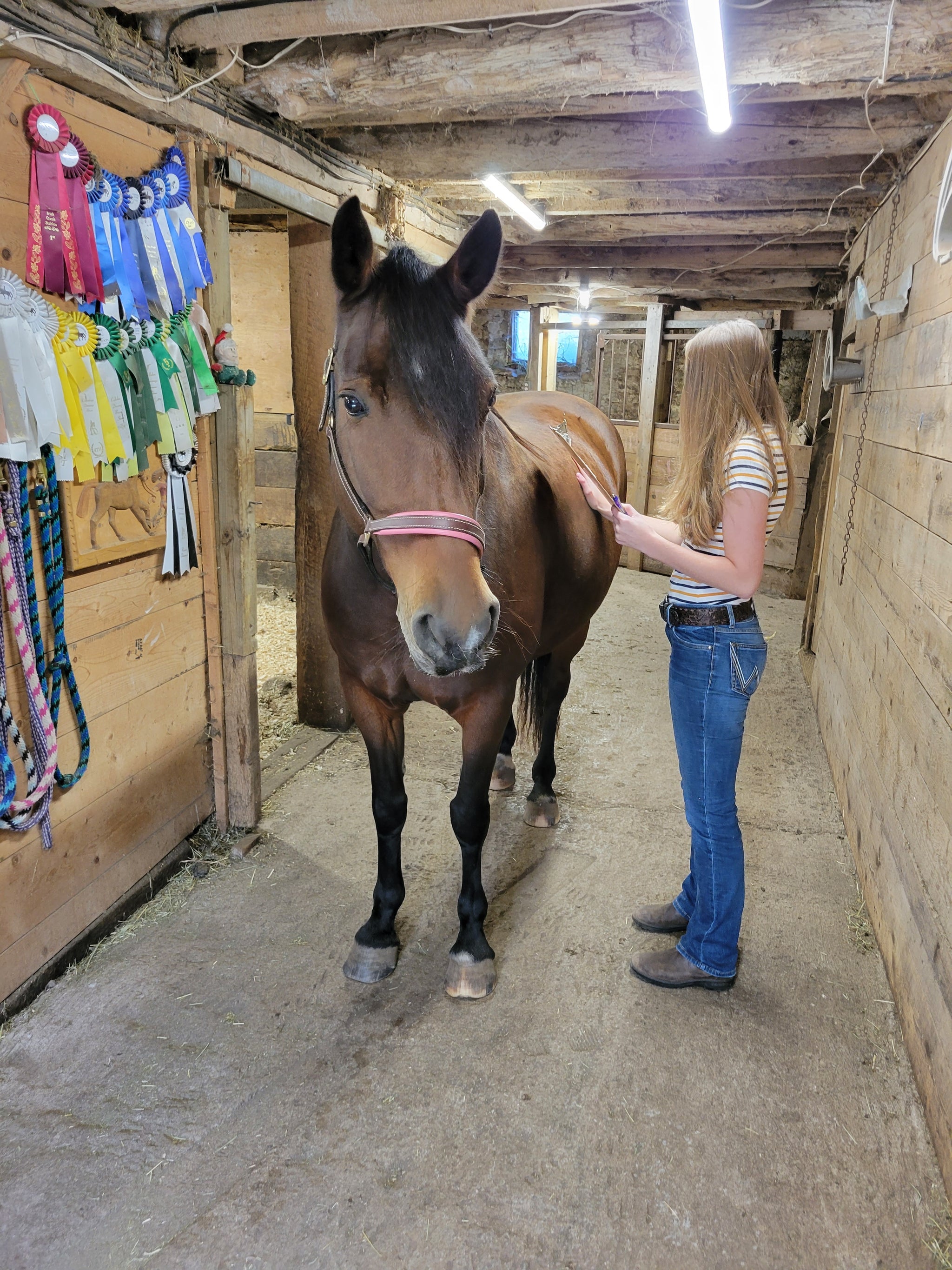 What does “grainfree” actually mean?