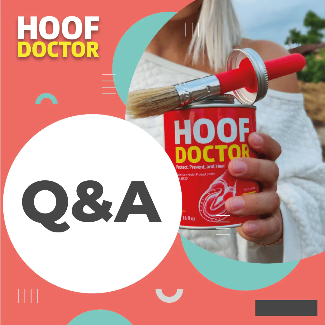 FAQs | Equine One - Equine One