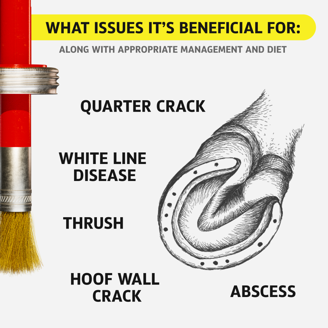 Equine One Hoof Mender Oil