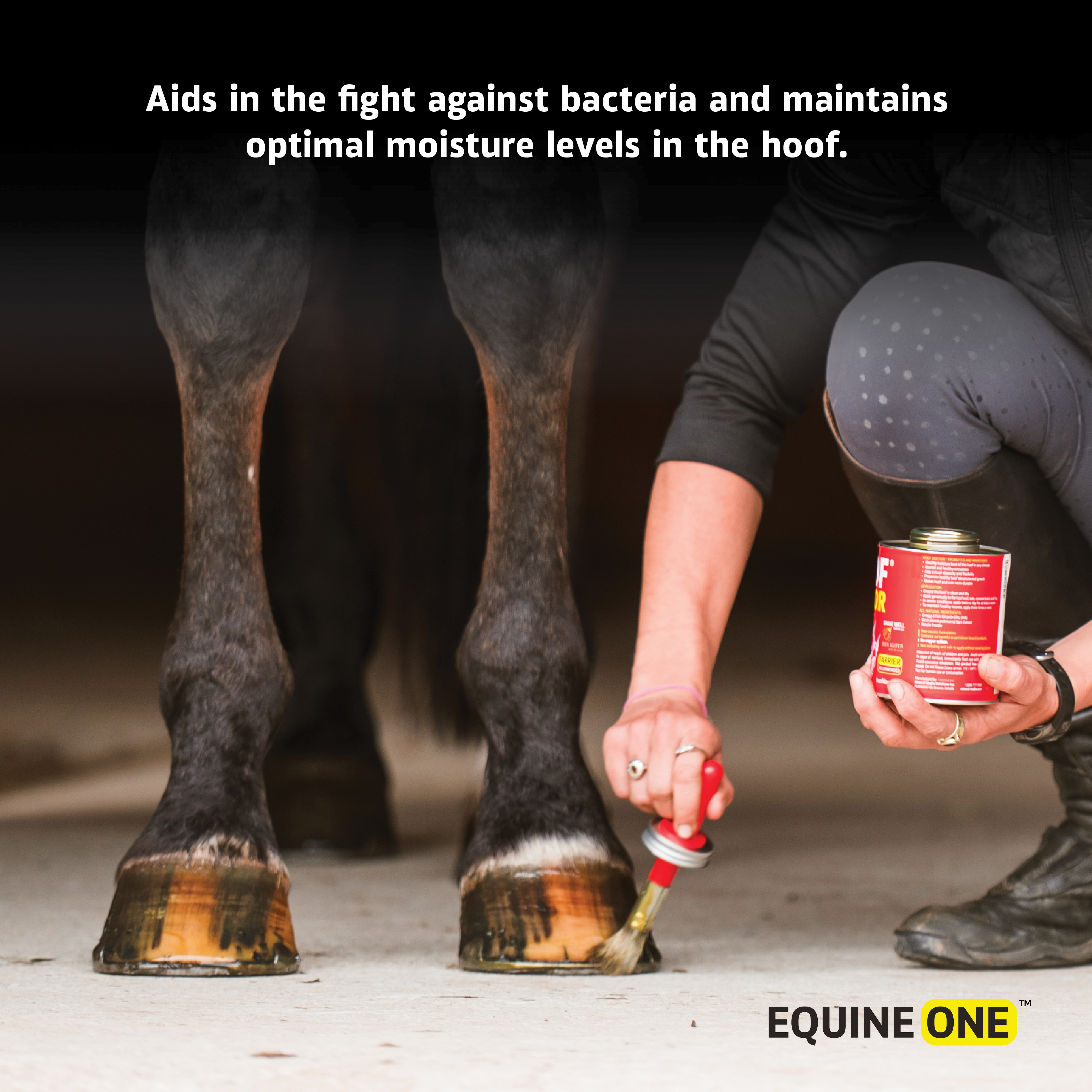 Equine One Hoof Mender Oil