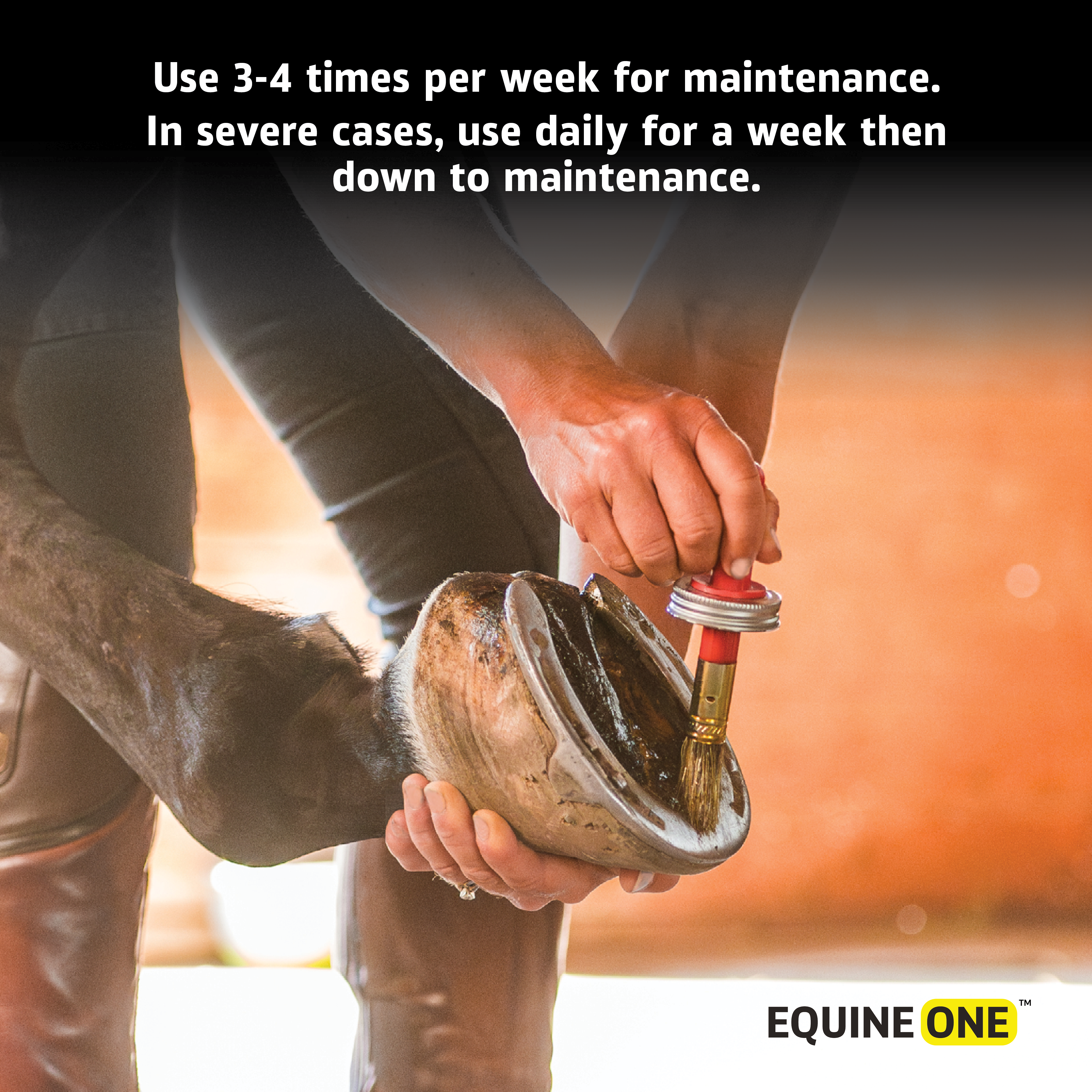 Equine One Hoof Mender Oil